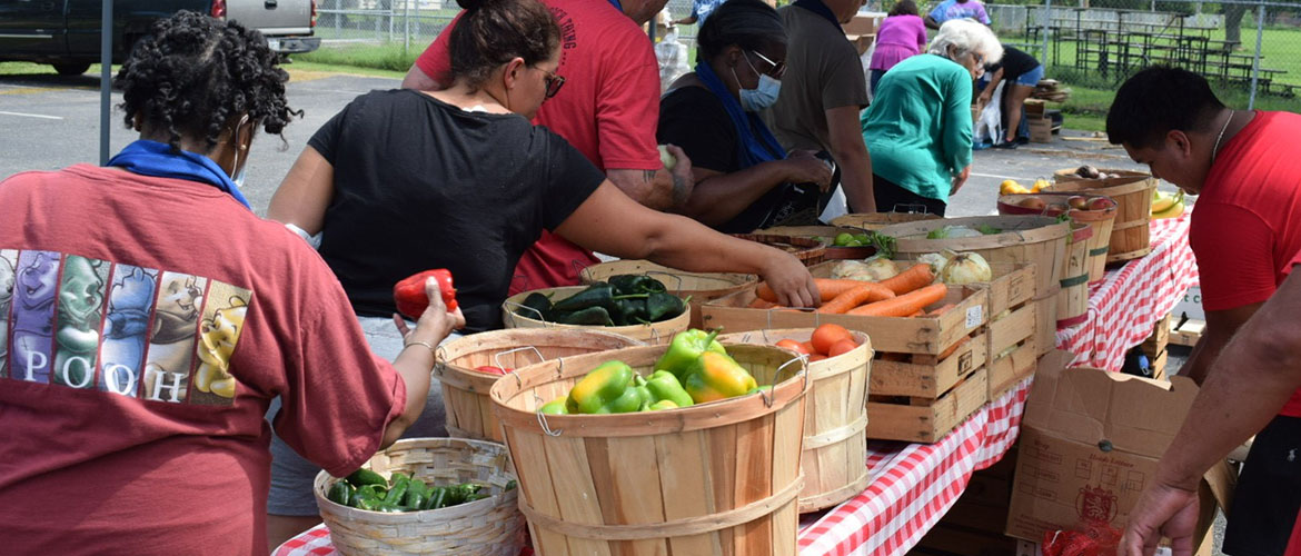 People select fresh produce