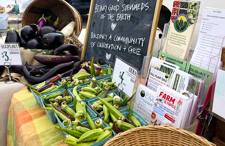 eggplant and okra sit on table at farmers market